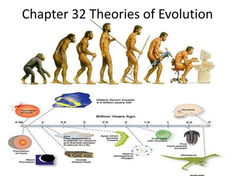 How theories in evolution evolve .